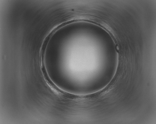 X0000073991127200608211341