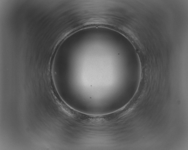 X0000073991129200608211341