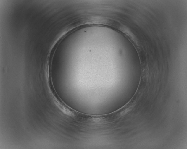 X0000073991130200608211341