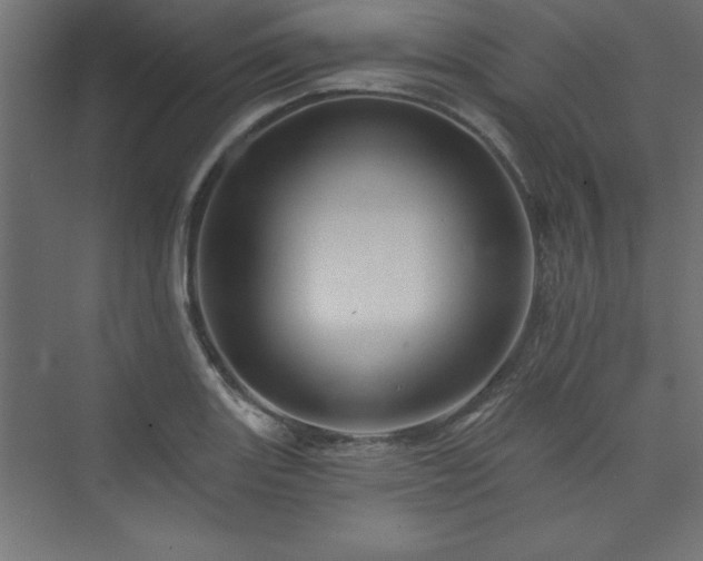 X0000073991131200608211341