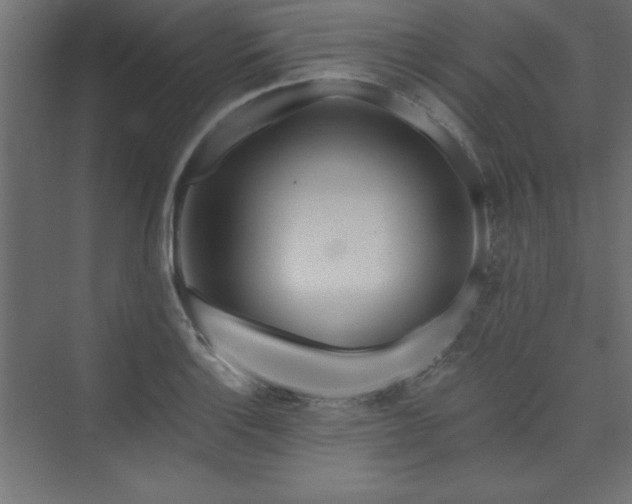 X0000073991132200608211341