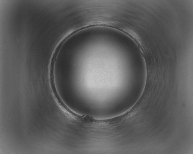 X0000073991135200608211341