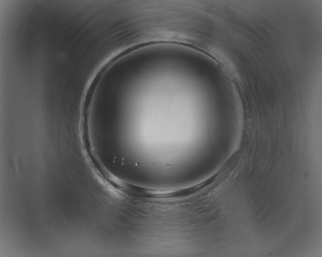 X0000073991136200608211341