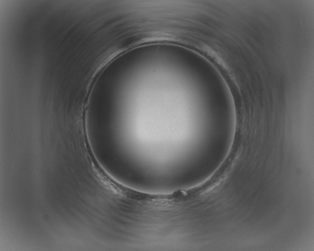 X0000073991137200608211341