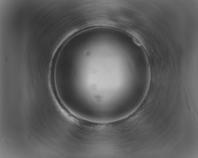 X0000073991139200608211341