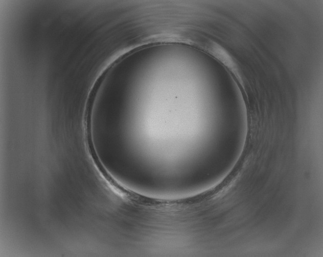 X0000073991141200608211341