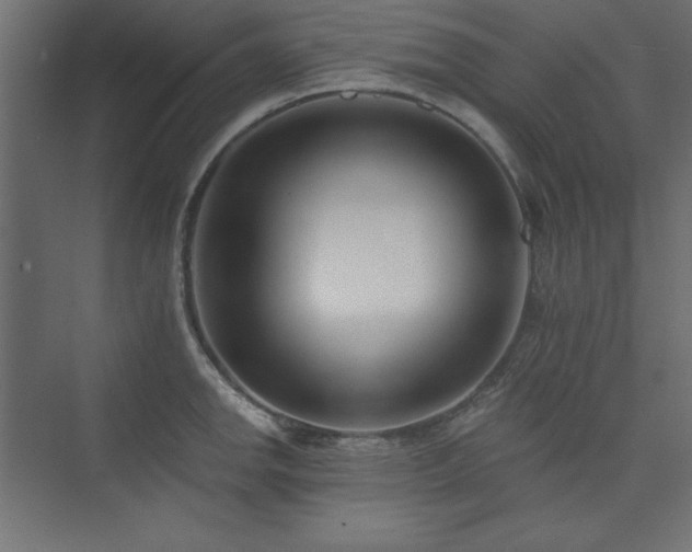 X0000073991142200608211341