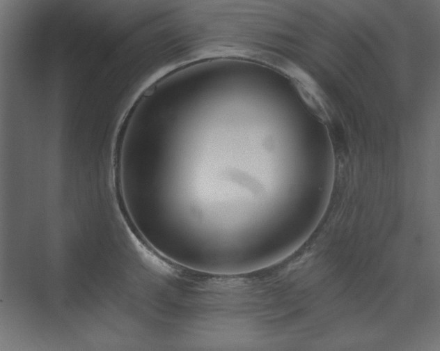 X0000073991143200608211341