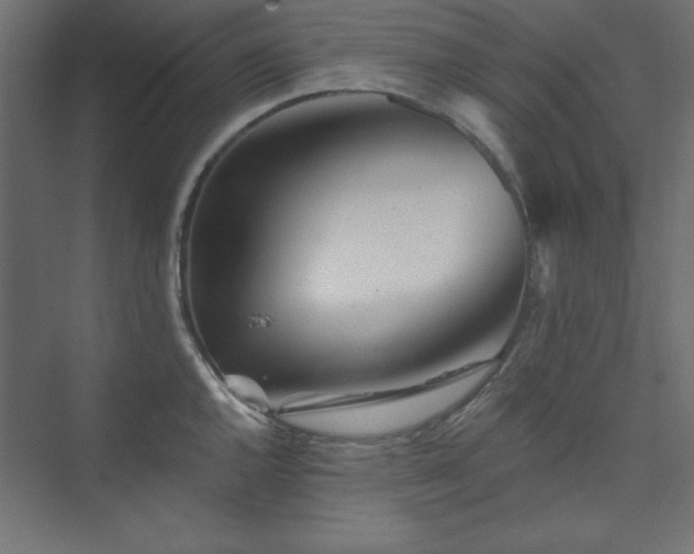 X0000073991144200608211341