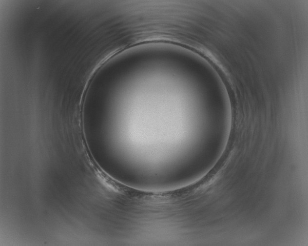 X0000073991145200608211341