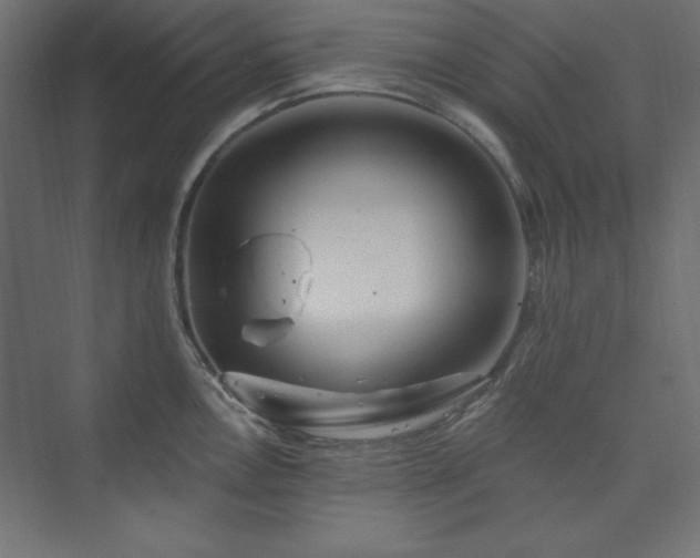 X0000073991146200608211341