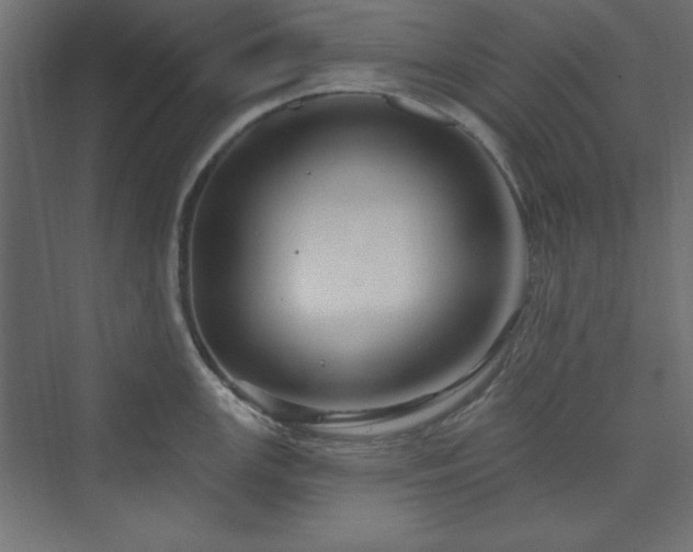 X0000073991147200608211341