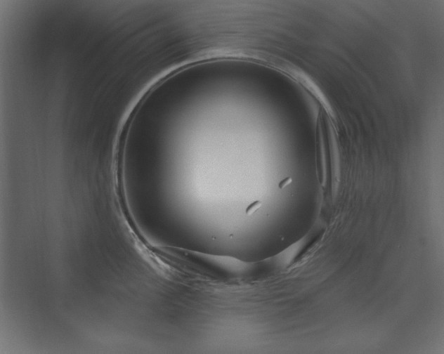 X0000073991148200608211341