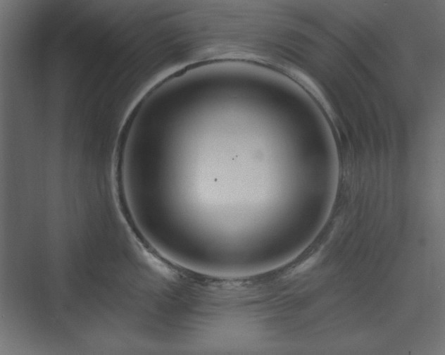 X0000073991149200608211341