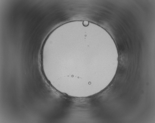 X0000073991150200608211341