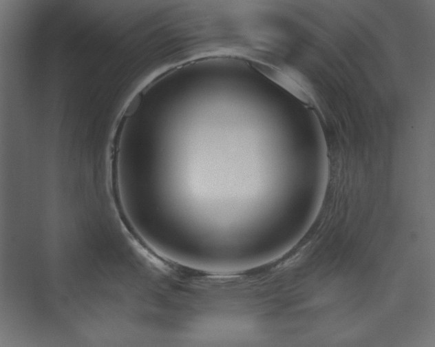 X0000073991151200608211341