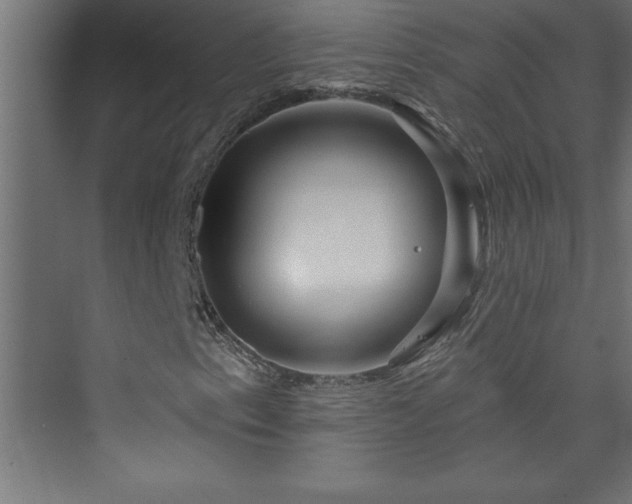 X0000073991153200608211340