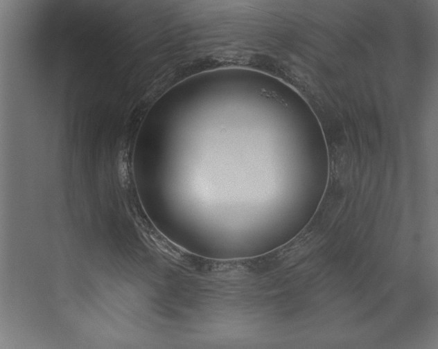 X0000073991154200608211340