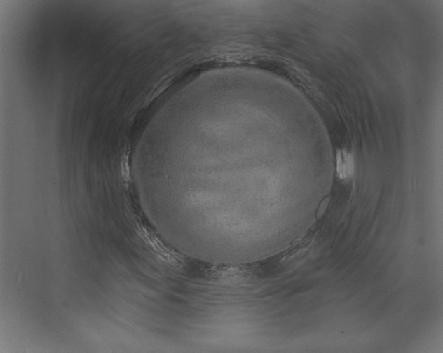 X0000073991155200608211340