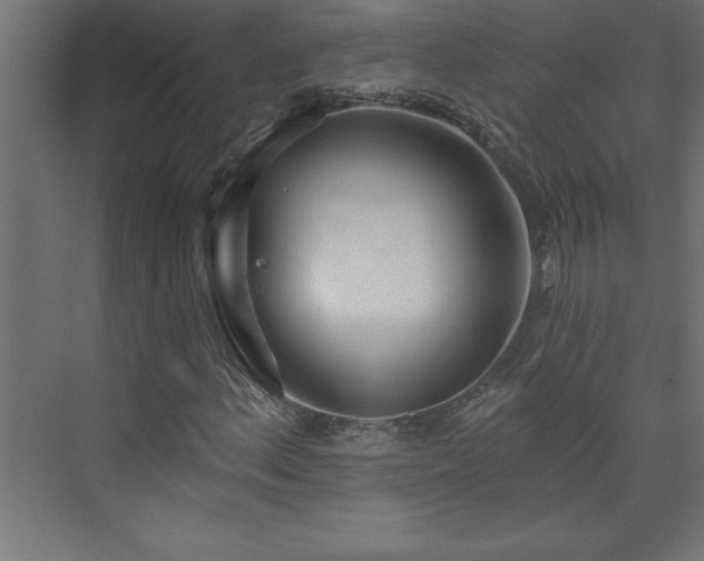 X0000073991156200608211340