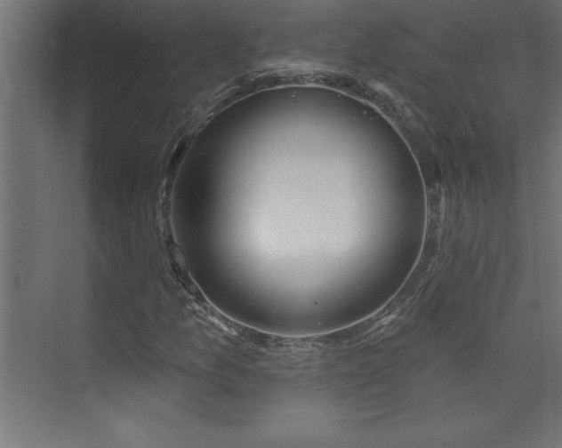 X0000073991157200608211340