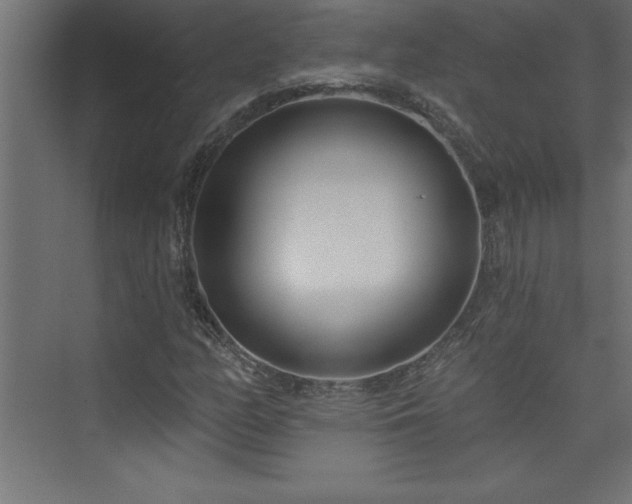 X0000073991158200608211340