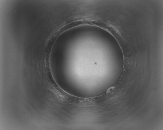 X0000073991159200608211340