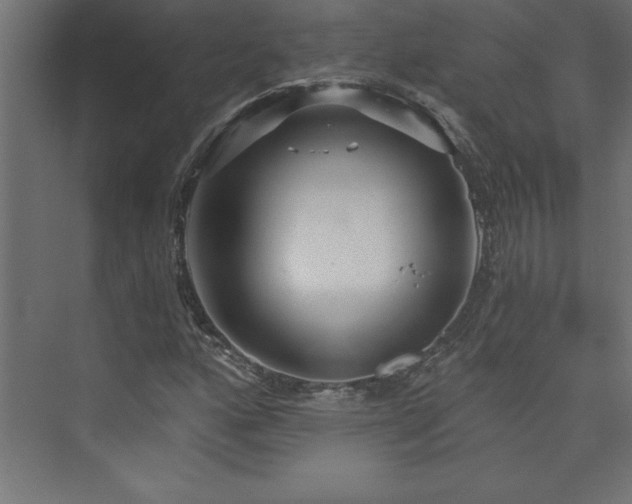 X0000073991160200608211340