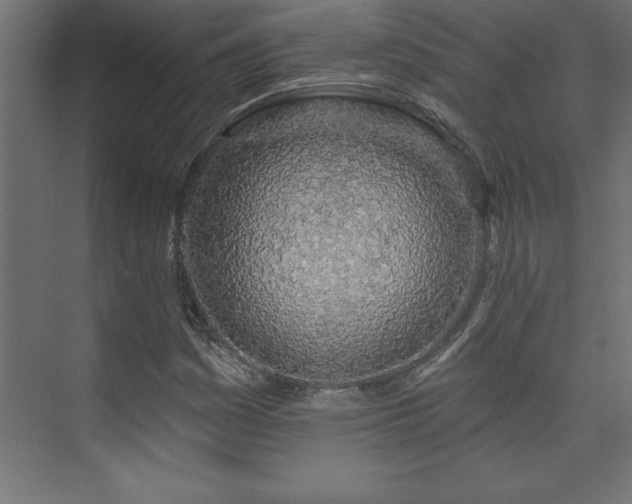 X0000073991161200608211340