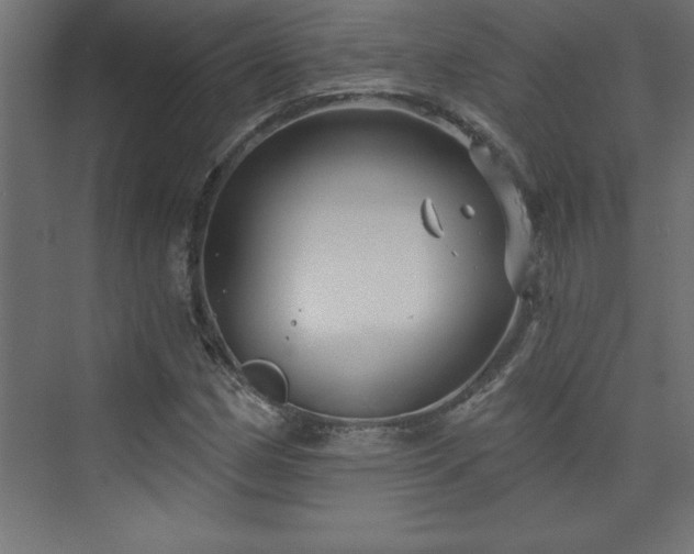 X0000073991162200608211340