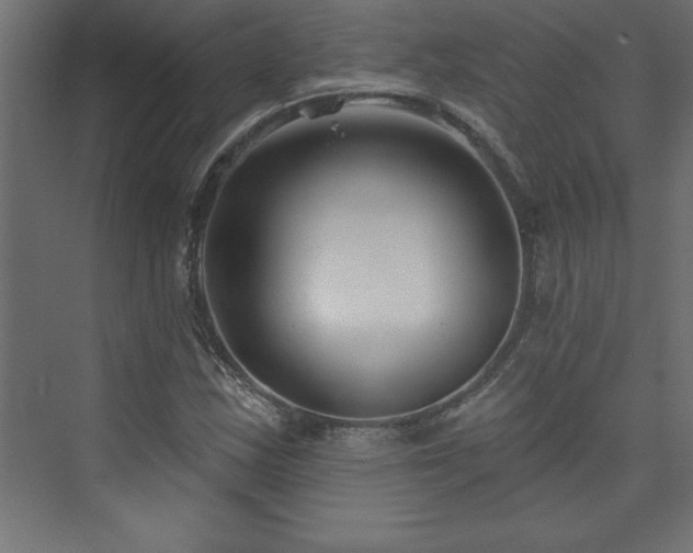 X0000073991163200608211340