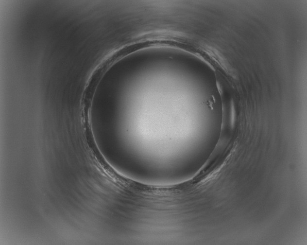 X0000073991164200608211340