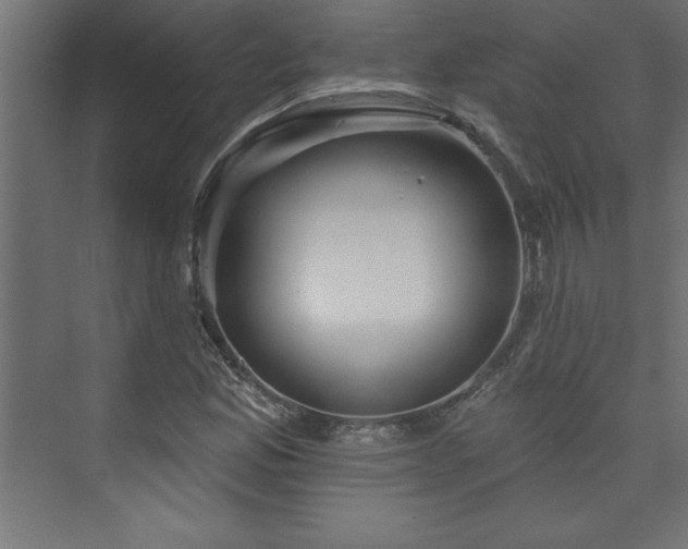 X0000073991165200608211340