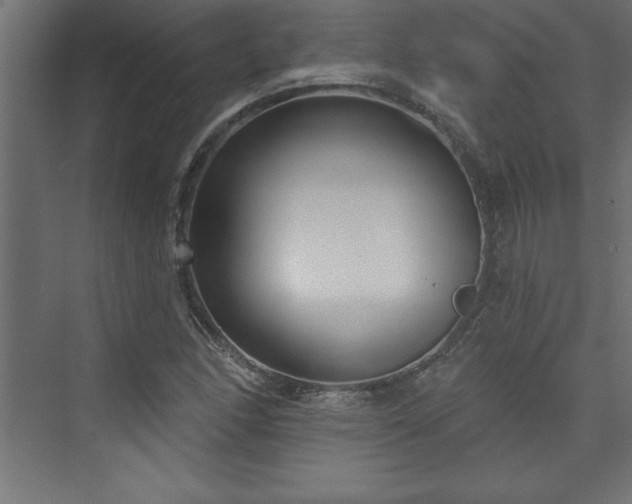 X0000073991166200608211340