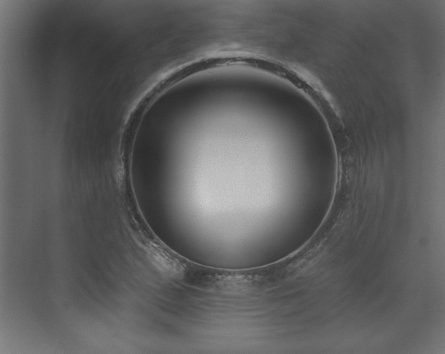 X0000073991167200608211340