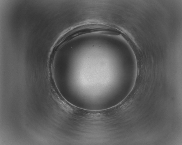 X0000073991168200608211340