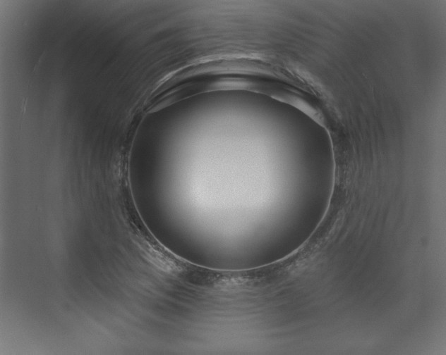 X0000073991169200608211340