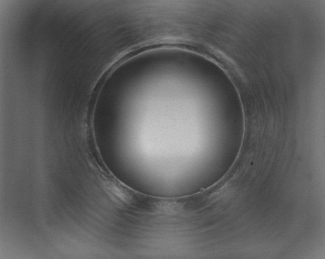 X0000073991170200608211340