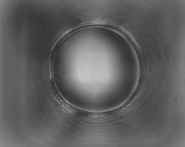 X0000073991171200608211340