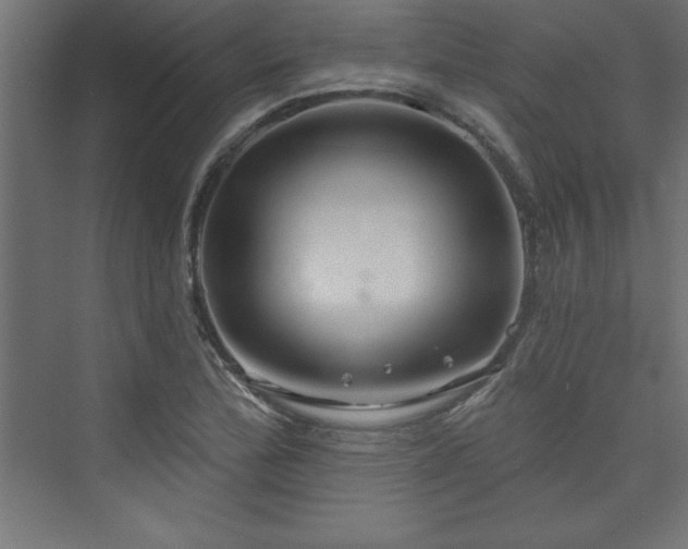 X0000073991172200608211340