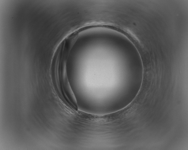 X0000073991173200608211340