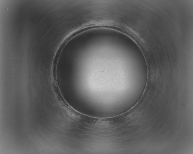 X0000073991174200608211340