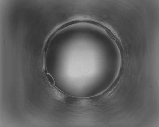 X0000073991175200608211340