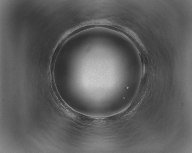 X0000073991176200608211340