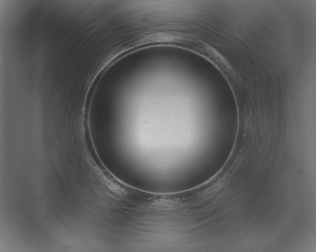 X0000073991178200608211340