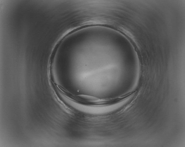 X0000073991179200608211340