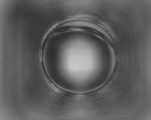 X0000073991180200608211340