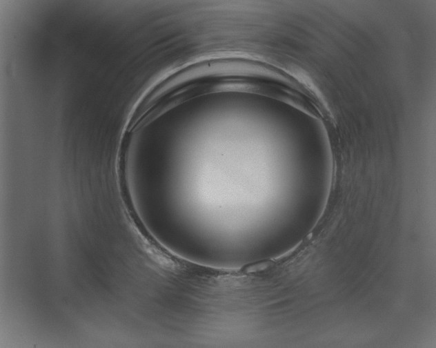 X0000073991181200608211340