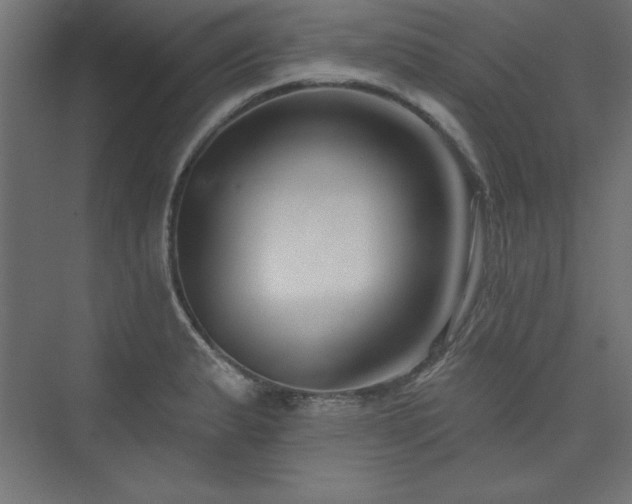 X0000073991183200608211340