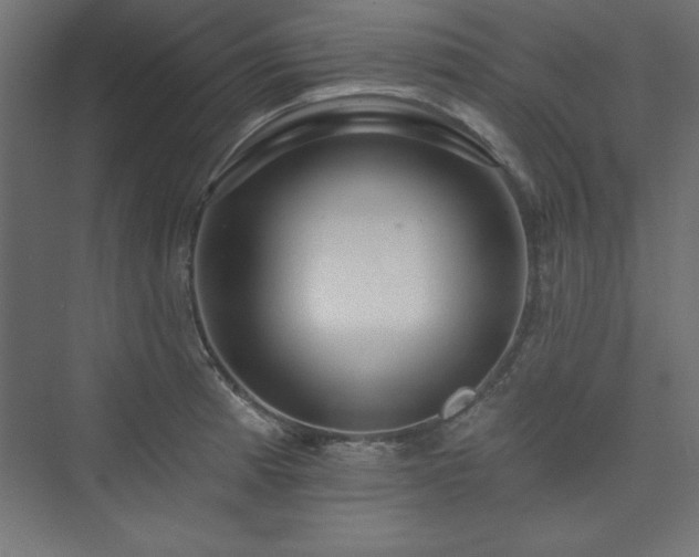 X0000073991185200608211340